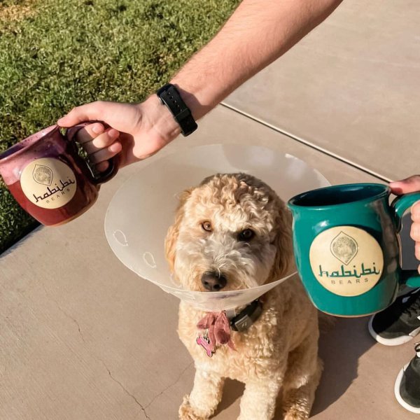 Logo Mugs