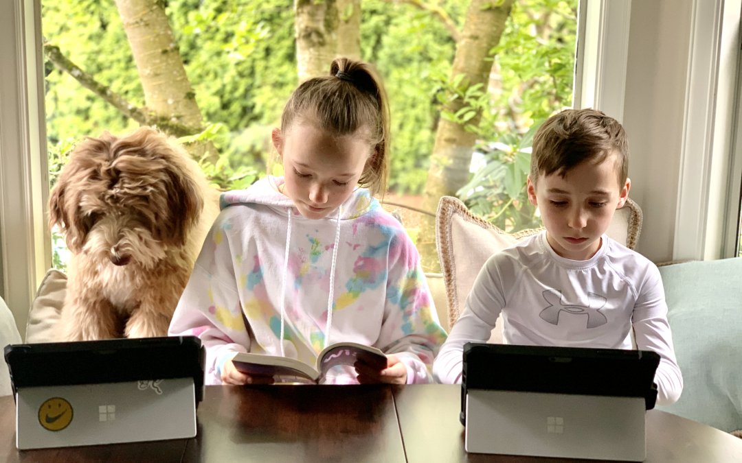 Back to School, Back to Basics: How to Meet New People with Your Puppy