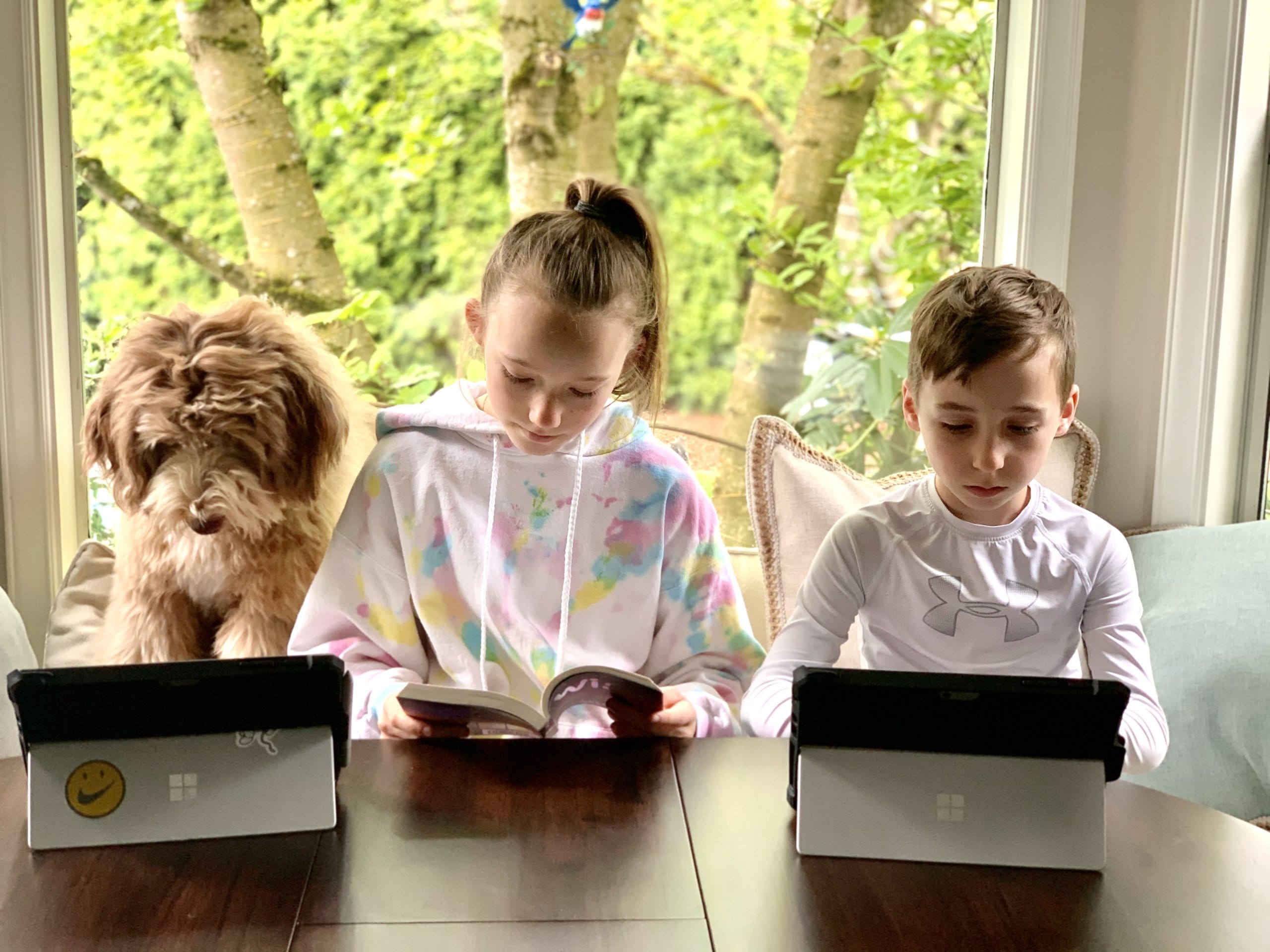 meeting new people with your puppy - Hank and kids Hank the habibi bear studying at home with his family
