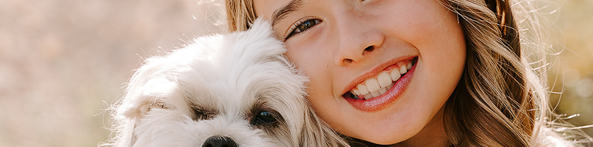 Adopt a Habibi Bear Puppy Today - HOme of the original Habibi Bear dog. 