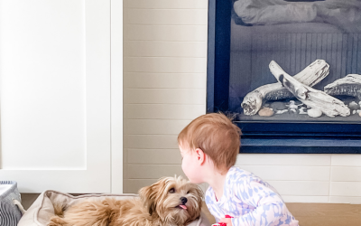 🦷 Caring for Your Habibi Bear Puppy 101: Dental Edition