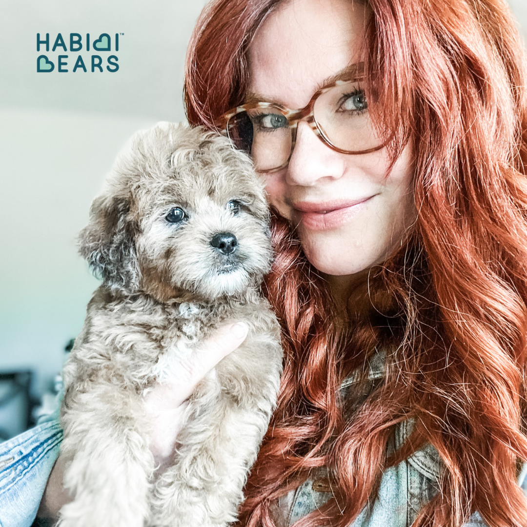 teddy bear puppies with lifetime support  Habibi Bears