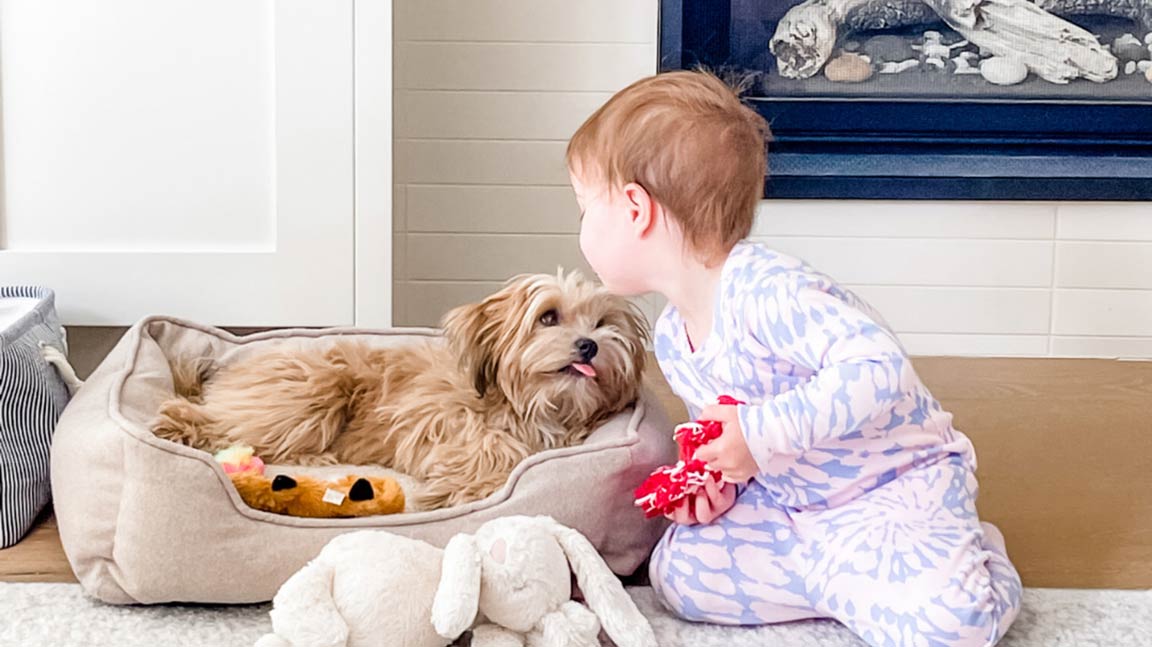 Young girl playing with a teddy bear puppy