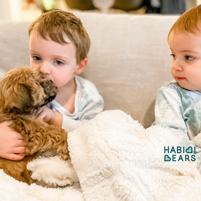 Two young boys playing with one of their teddy bear puppies