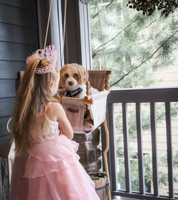 5 Essential Tips for Teaching Kids How to Interact with Dogs Safely