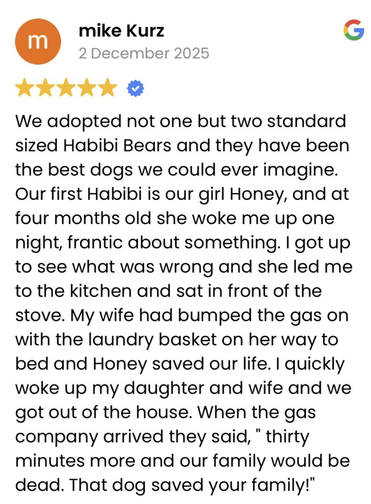 Habibi Bears Review | Honey and Her Family Five-star Habibi Bears review by Mike Kurz describing how Honey alerted his family to a gas leak.