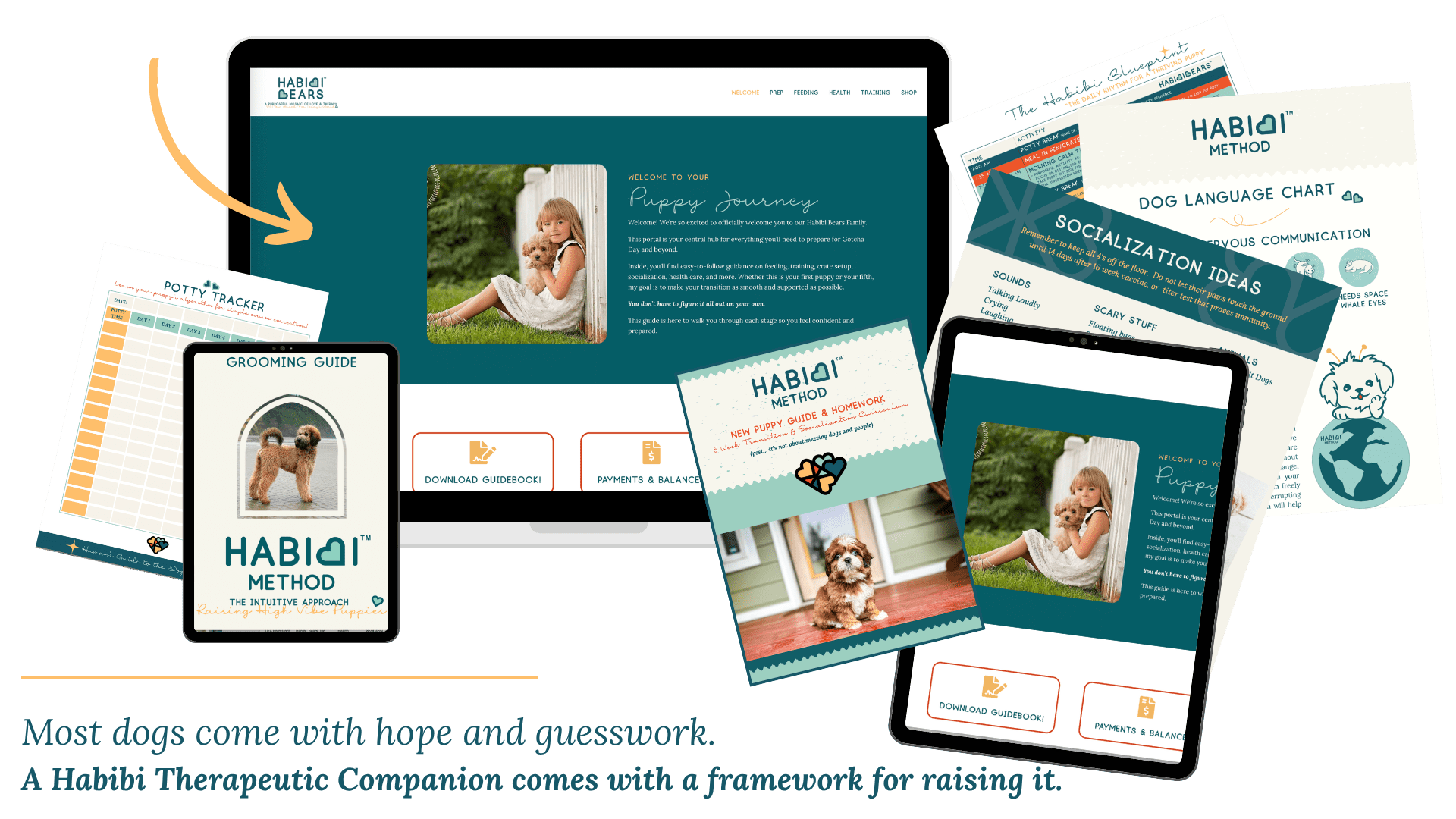 learn about the Habibi Partnership Pathway and how we support our families