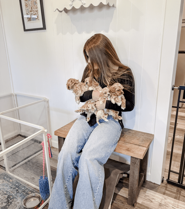 The Familiar Bond: Deepening the Human Dog Bond Through Connection
