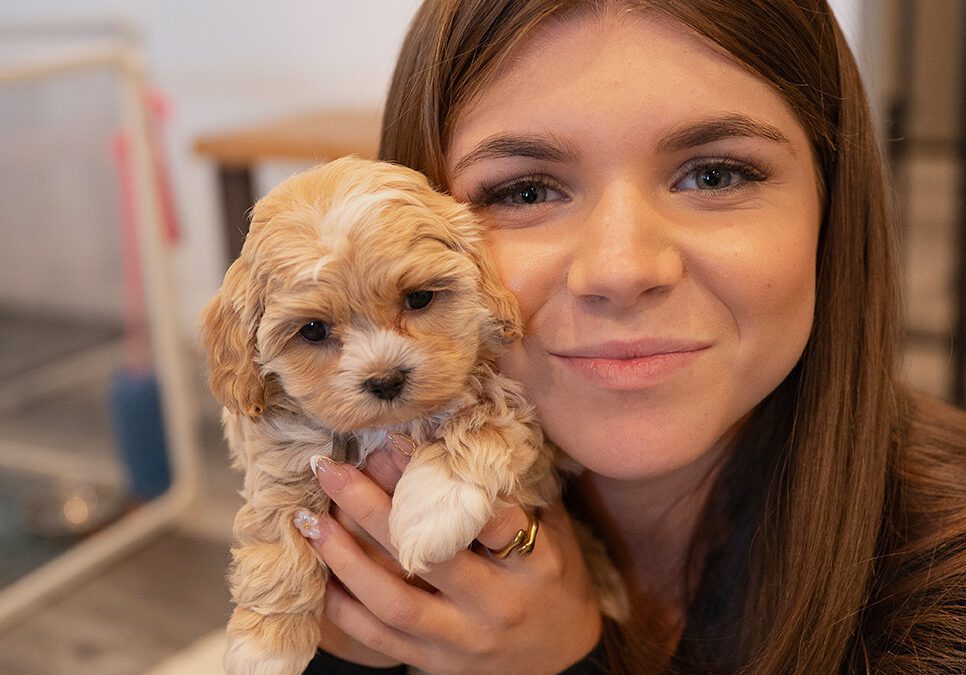 A Love Letter to Dogs: Honoring the Dogs Who Changed Our Lives
