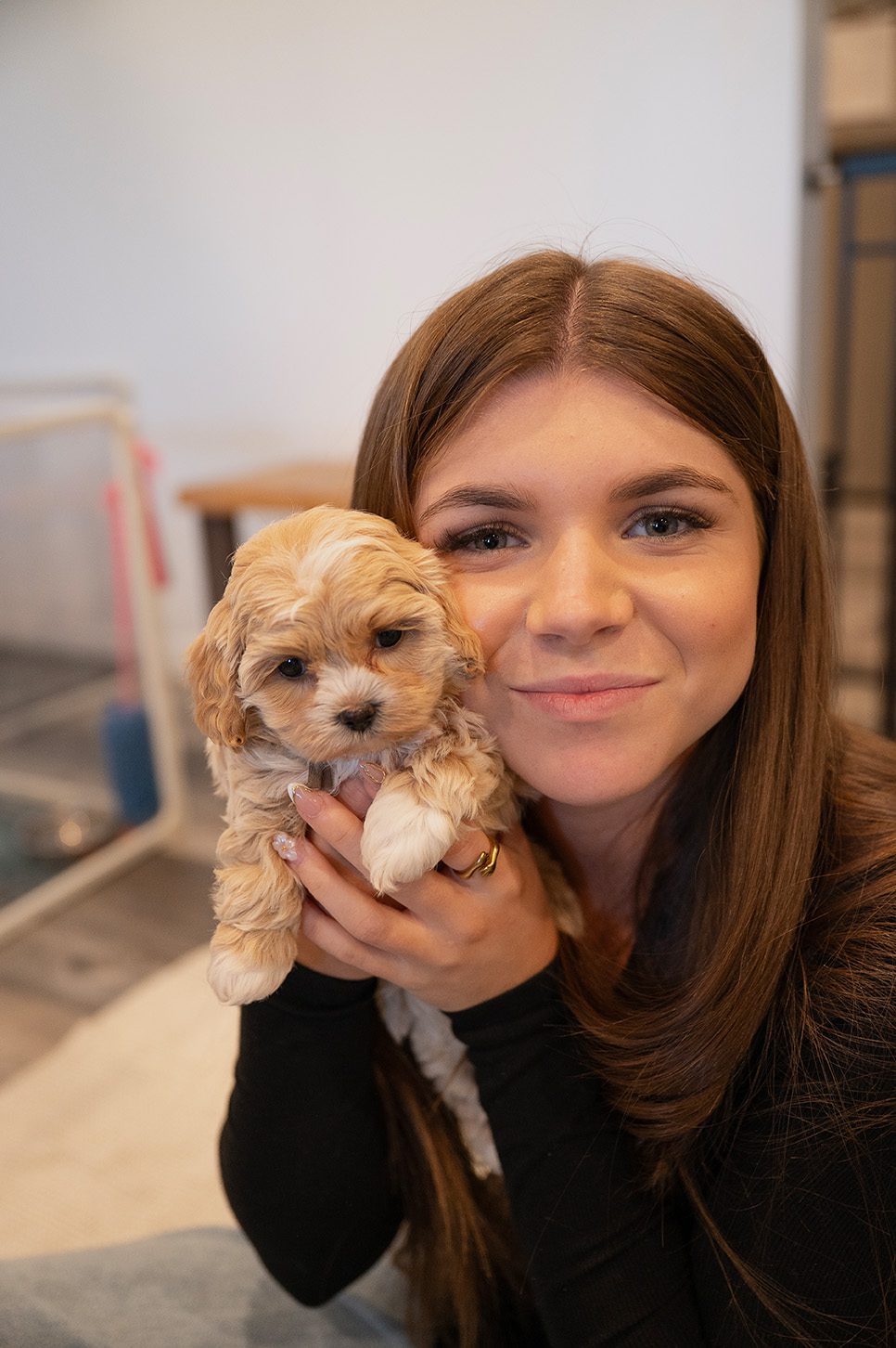 a love letter to dogs a love letter to dogs