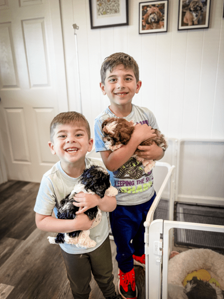 Habibi Bear companion dog with neurodivergent child