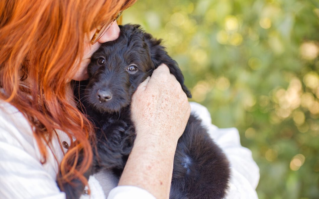 Treating Dogs Like Humans: 3 Mistakes Even Loving Owners Make