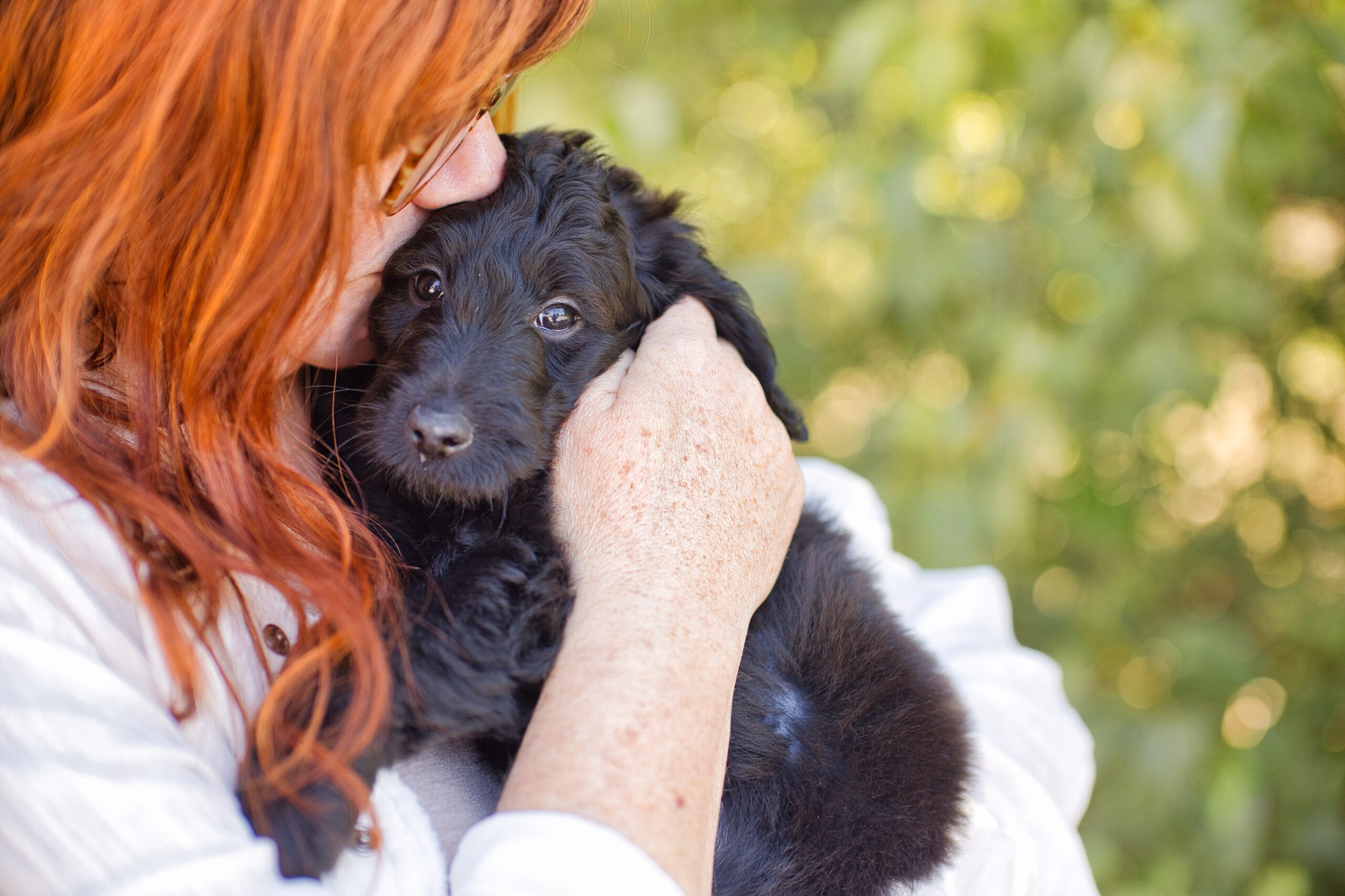 Treating dogs like Humans