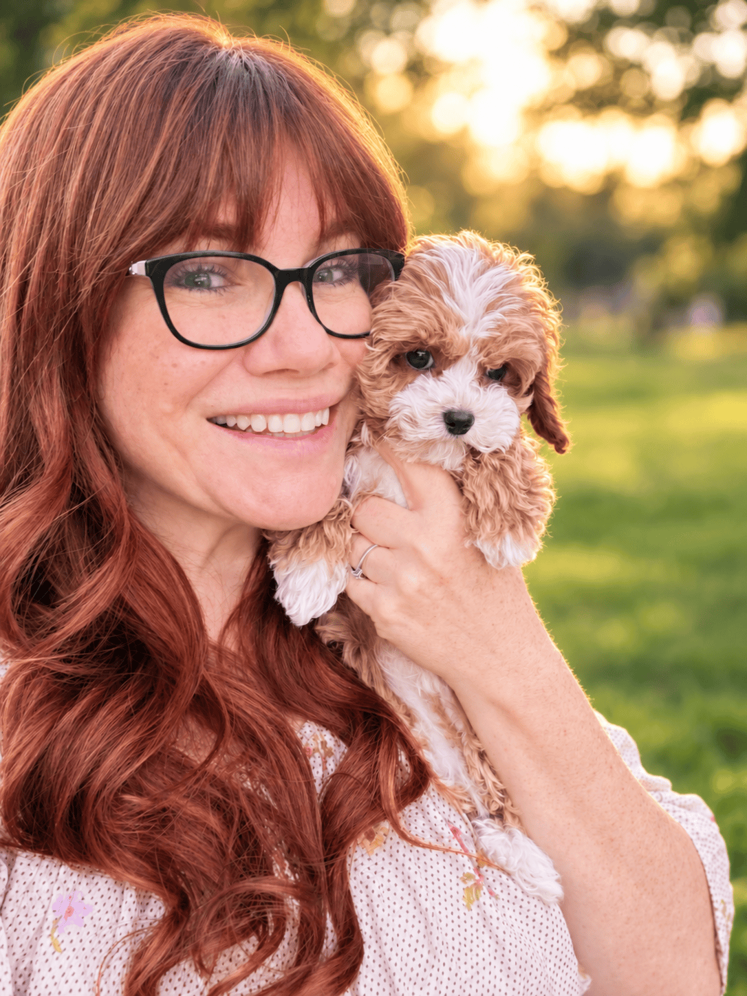 habibi bears | therapeutic dogs for autism & adhd habibi habibi bears | therapeutic dogs for autism & adhd habibi