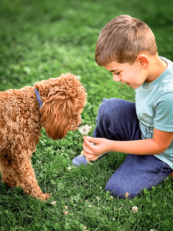 Aslan a Habibi Dog with his Familiar The Familiar Bond - Habibi Bears relationship first philosophy of raising conscious companions