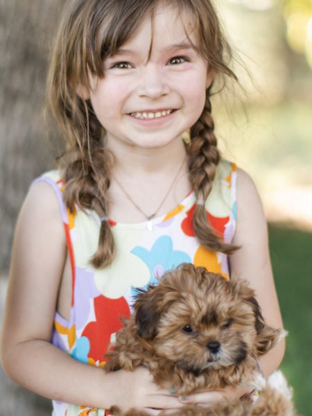 Habibi Puppy and Child | Outdoor Portrait A smiling child with braided hair holds a small fluffy Habibi puppy beside a tree.