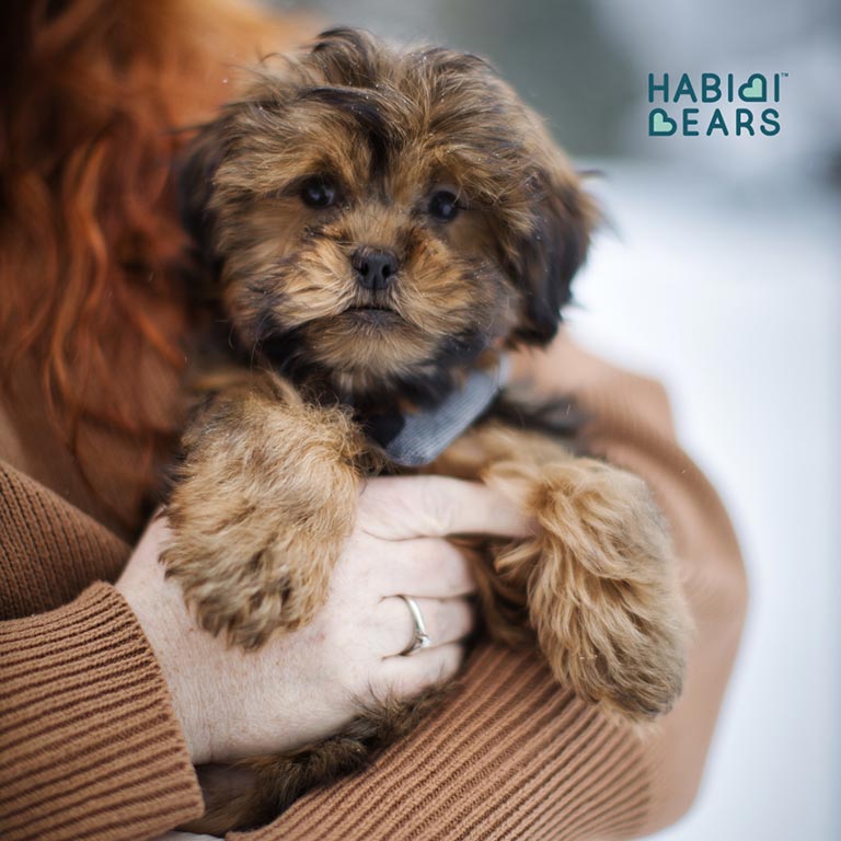 Owner holding her pup, she will train her own service dog